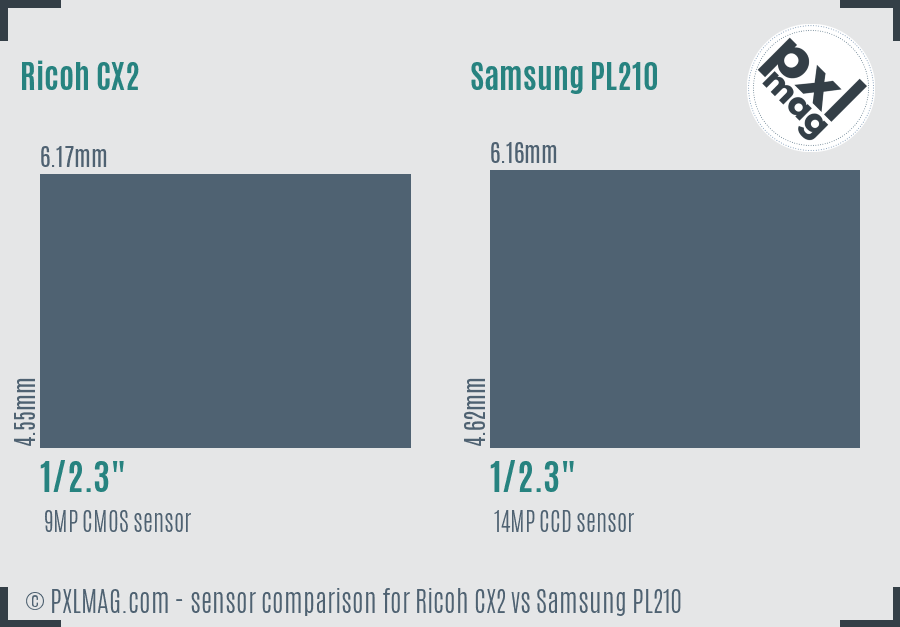 Ricoh CX2 vs Samsung PL210 sensor size comparison