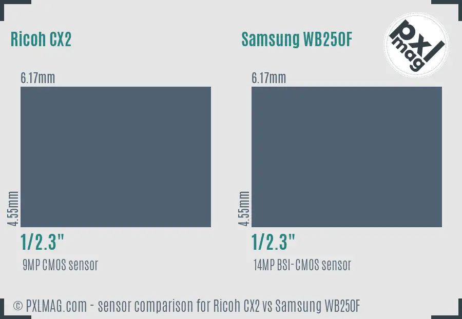 Ricoh CX2 vs Samsung WB250F sensor size comparison