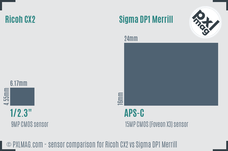 Ricoh CX2 vs Sigma DP1 Merrill sensor size comparison