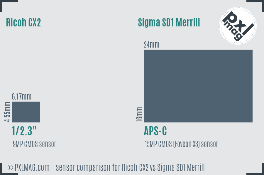 Ricoh CX2 vs Sigma SD1 Merrill sensor size comparison