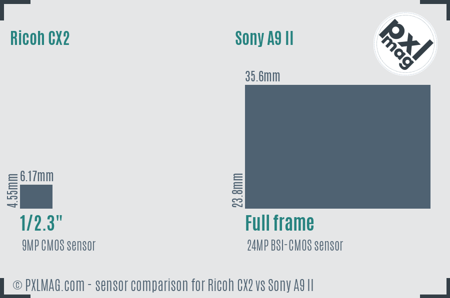 Ricoh CX2 vs Sony A9 II sensor size comparison Ricoh CX2 vs Sony A9 II sensor size comparison