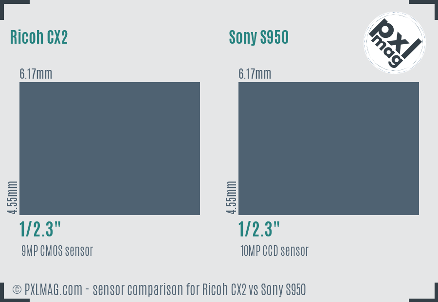 Ricoh CX2 vs Sony S950 sensor size comparison