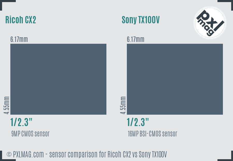 Ricoh CX2 vs Sony TX100V sensor size comparison