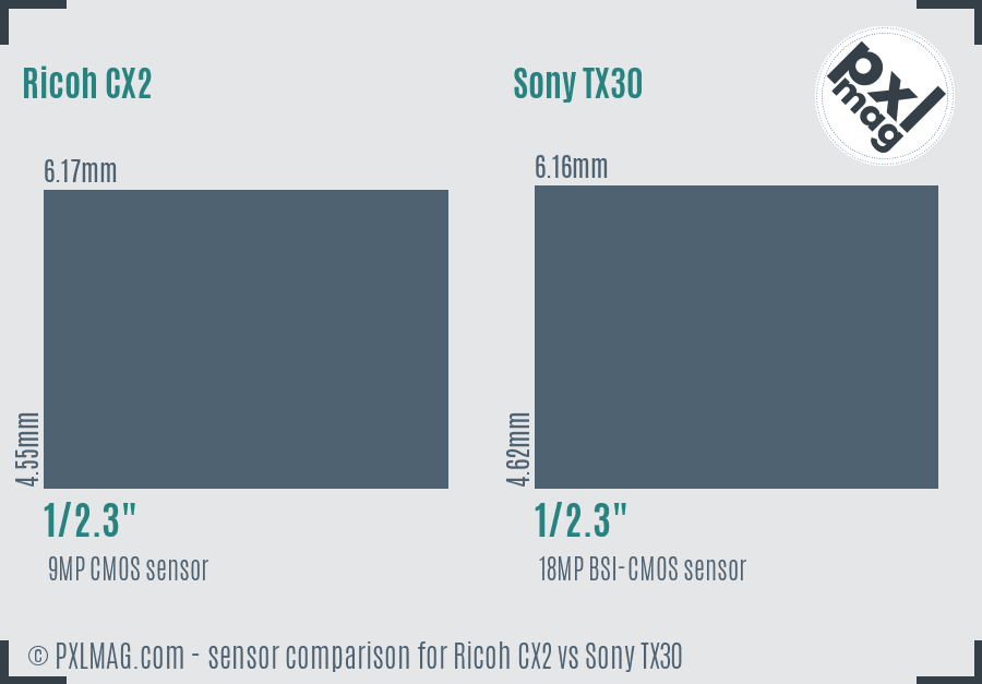 Ricoh CX2 vs Sony TX30 sensor size comparison