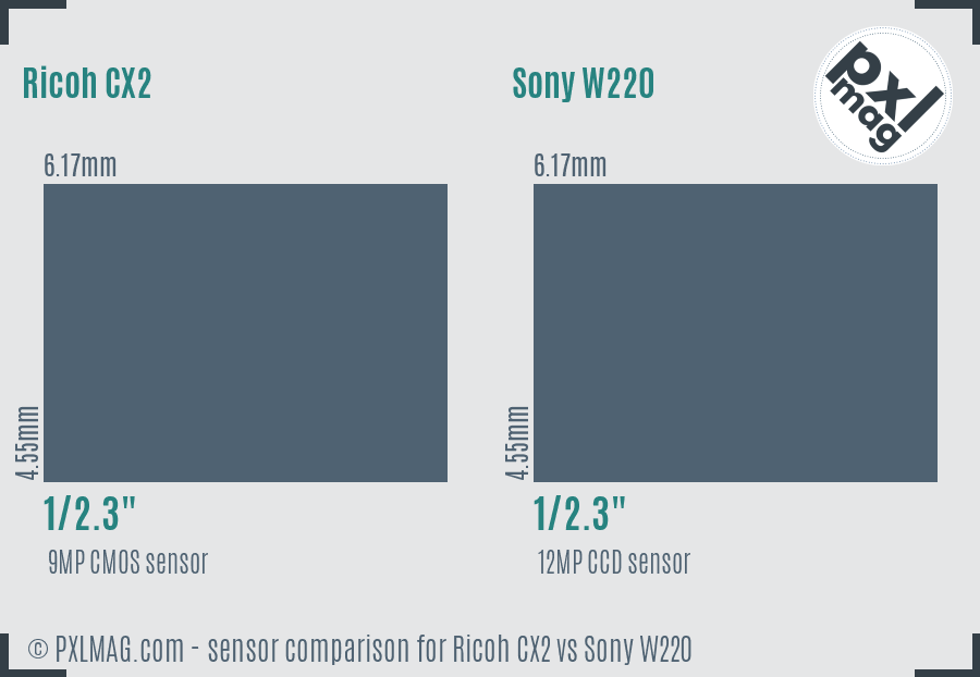 Ricoh CX2 vs Sony W220 sensor size comparison