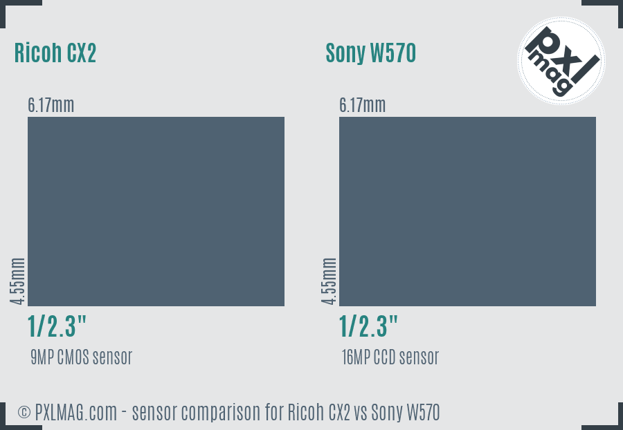 Ricoh CX2 vs Sony W570 sensor size comparison