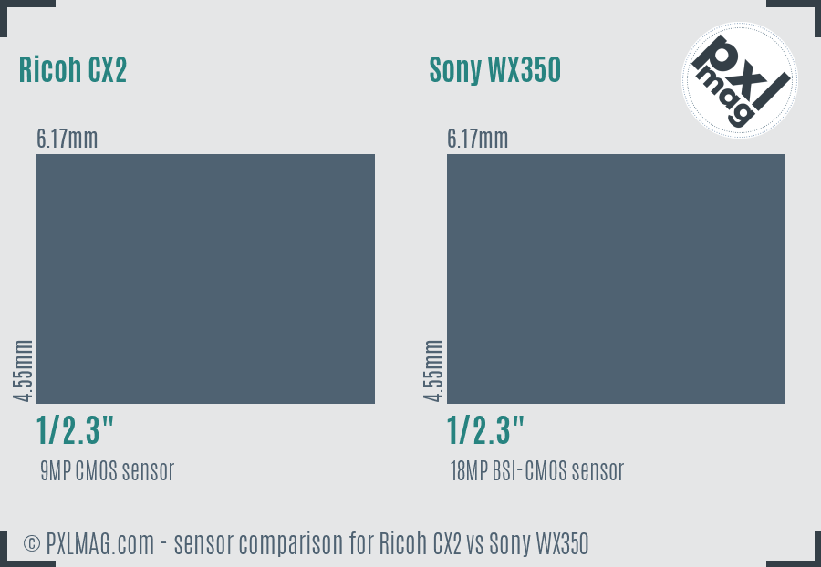 Ricoh CX2 vs Sony WX350 sensor size comparison