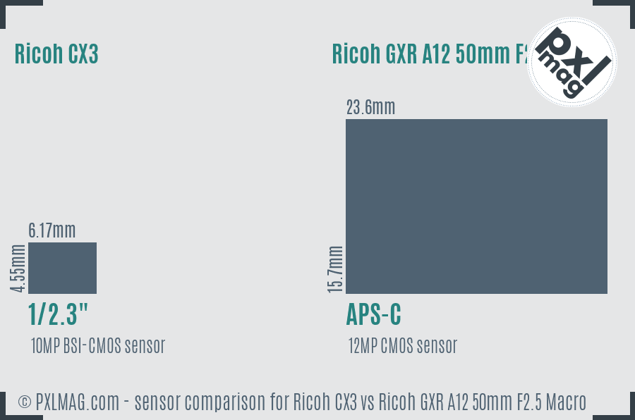Ricoh CX3 vs Ricoh GXR A12 50mm F2.5 Macro sensor size comparison