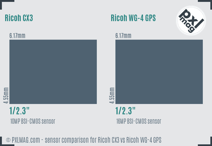 Ricoh CX3 vs Ricoh WG-4 GPS sensor size comparison