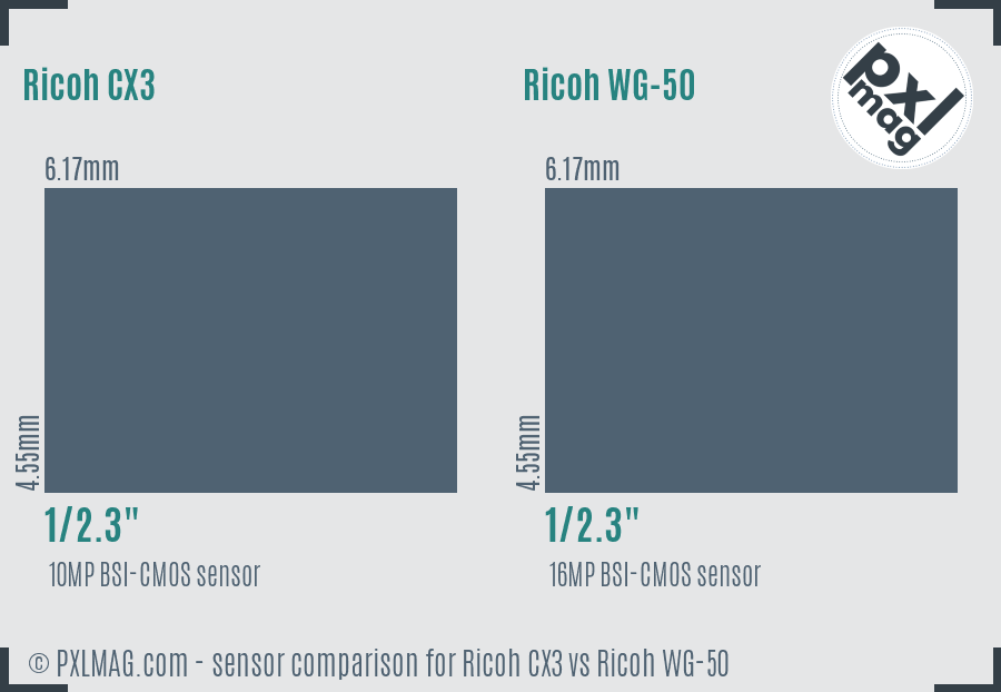 Ricoh CX3 vs Ricoh WG-50 sensor size comparison