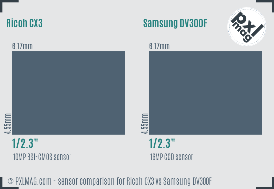 Ricoh CX3 vs Samsung DV300F sensor size comparison