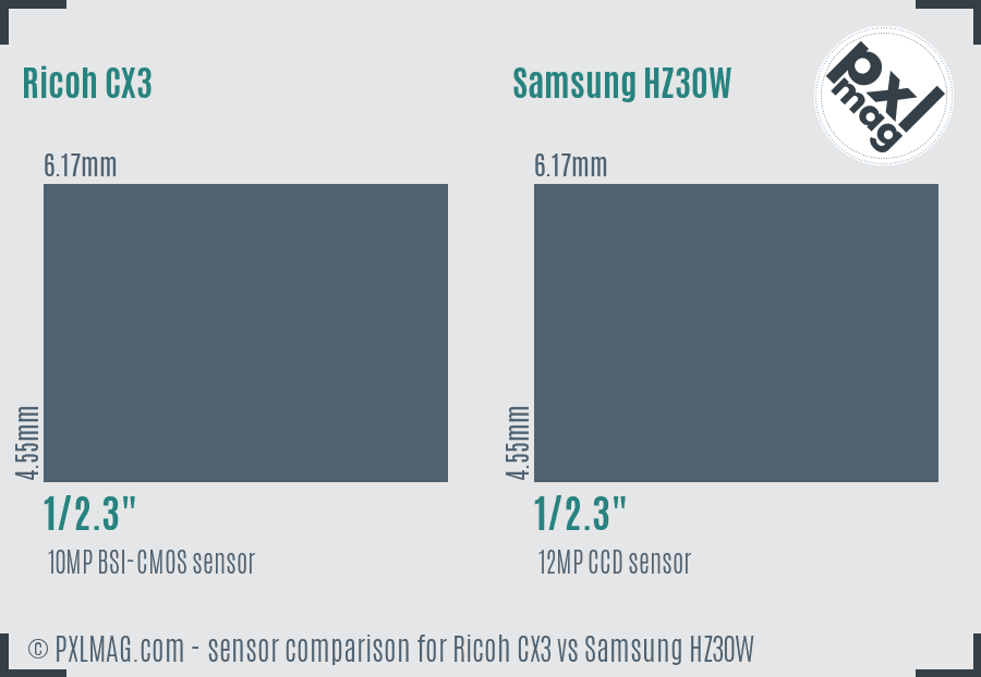 Ricoh CX3 vs Samsung HZ30W sensor size comparison