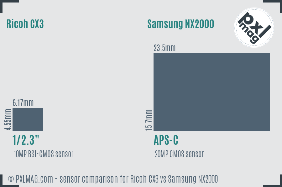 Ricoh CX3 vs Samsung NX2000 sensor size comparison