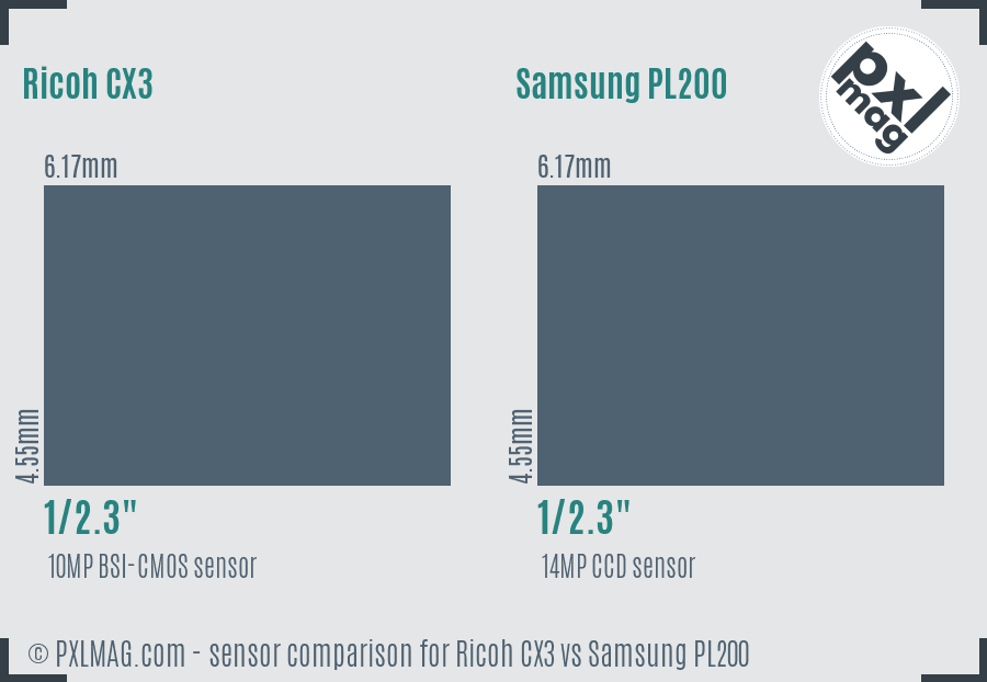 Ricoh CX3 vs Samsung PL200 sensor size comparison