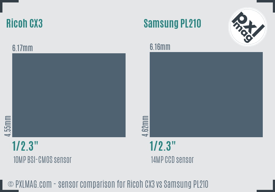 Ricoh CX3 vs Samsung PL210 sensor size comparison