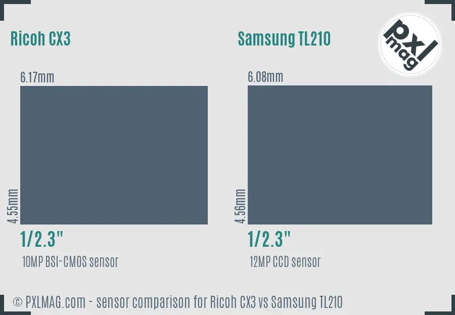Ricoh CX3 vs Samsung TL210 sensor size comparison