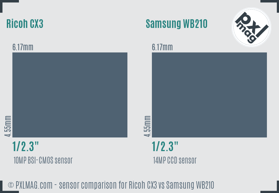 Ricoh CX3 vs Samsung WB210 sensor size comparison