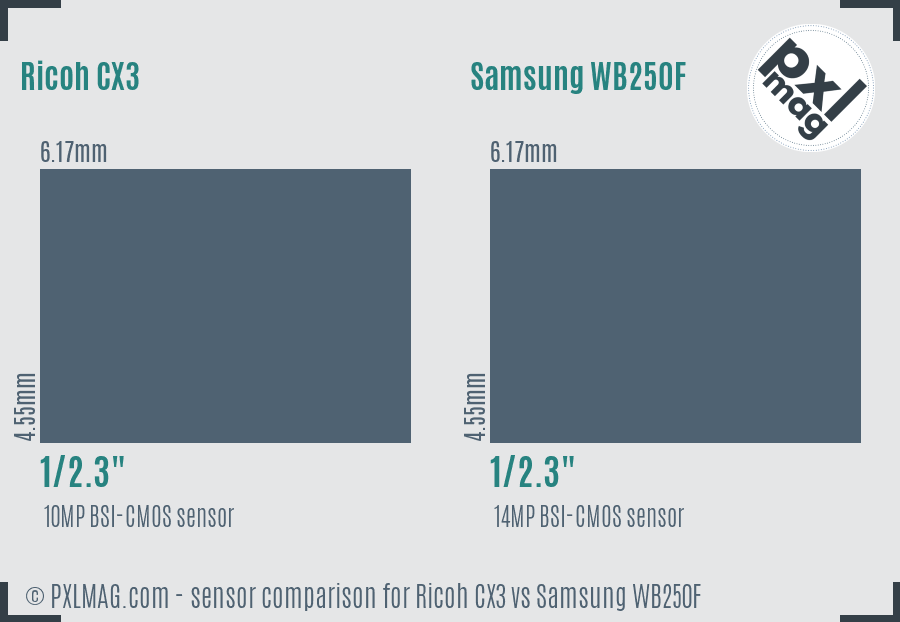 Ricoh CX3 vs Samsung WB250F sensor size comparison