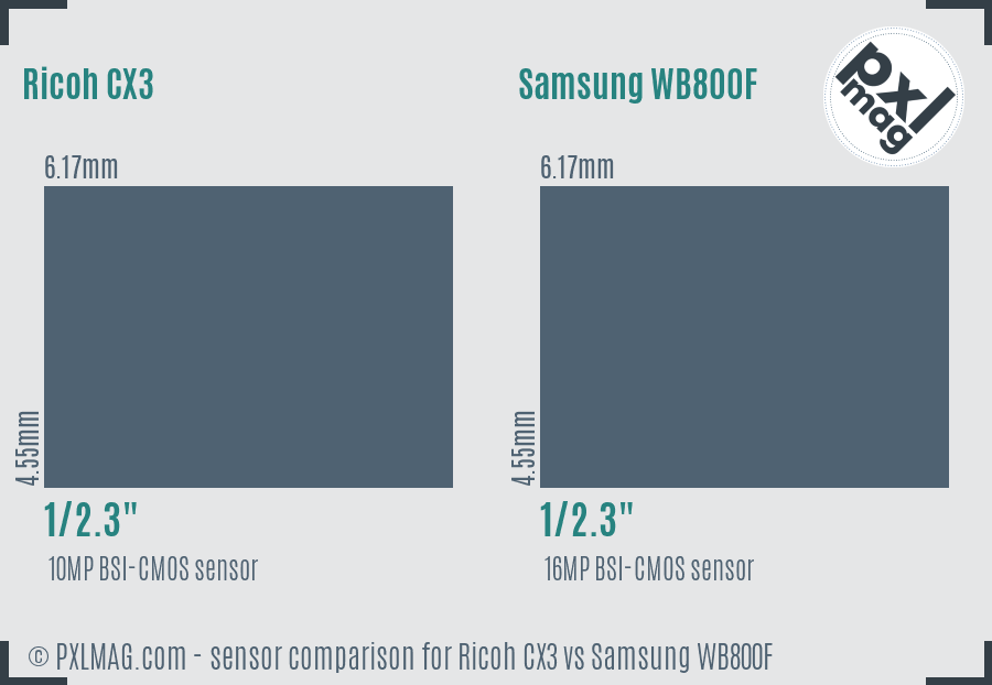 Ricoh CX3 vs Samsung WB800F sensor size comparison