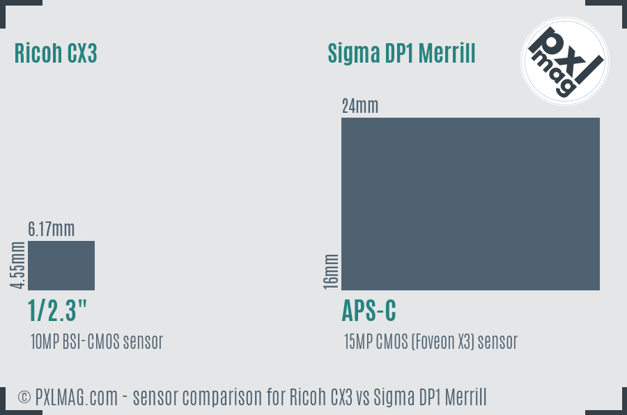 Ricoh CX3 vs Sigma DP1 Merrill sensor size comparison