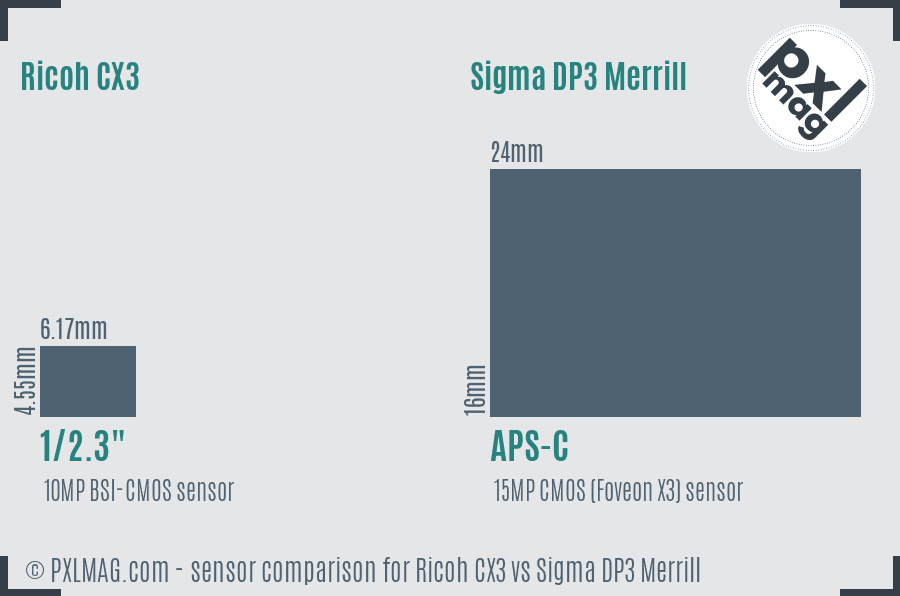Ricoh CX3 vs Sigma DP3 Merrill sensor size comparison