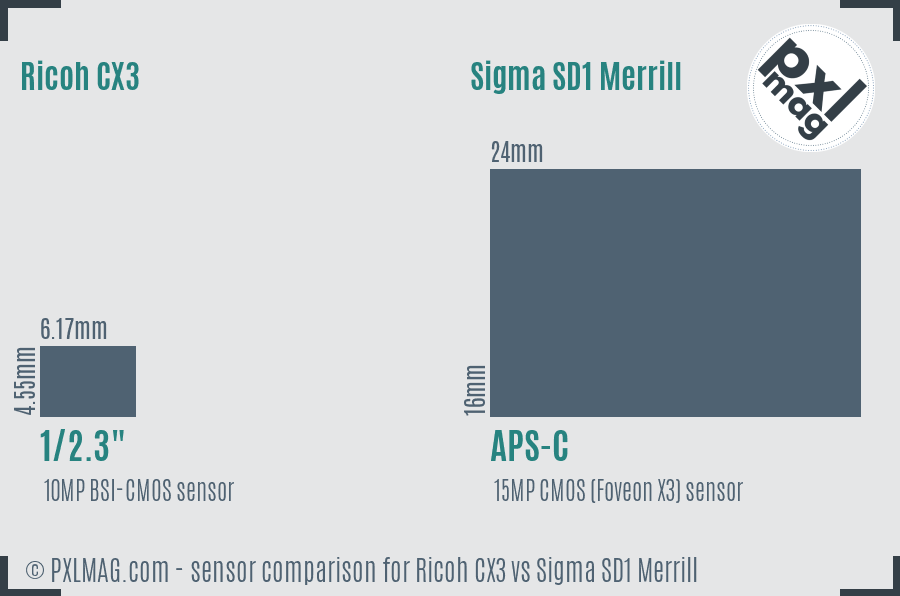 Ricoh CX3 vs Sigma SD1 Merrill sensor size comparison