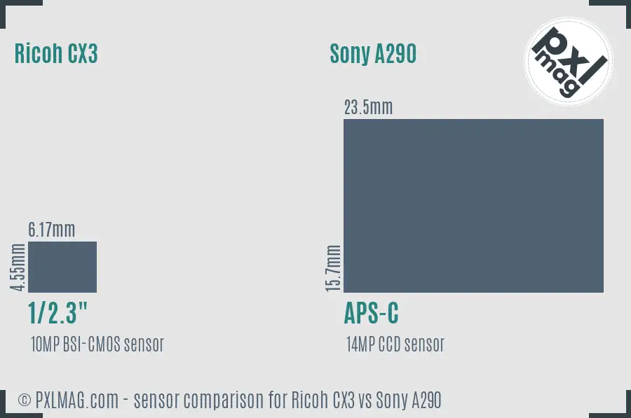 Ricoh CX3 vs Sony A290 sensor size comparison