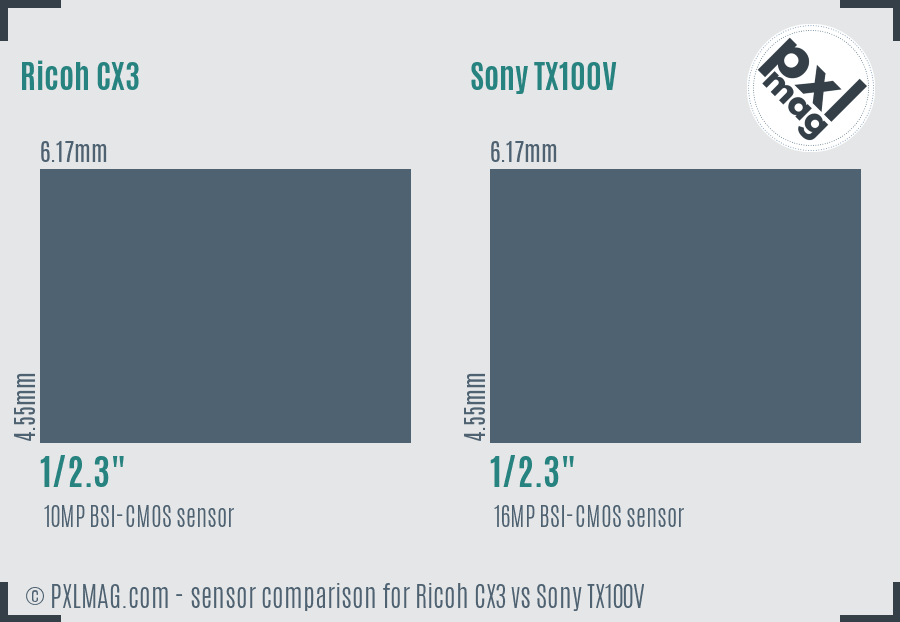 Ricoh CX3 vs Sony TX100V sensor size comparison