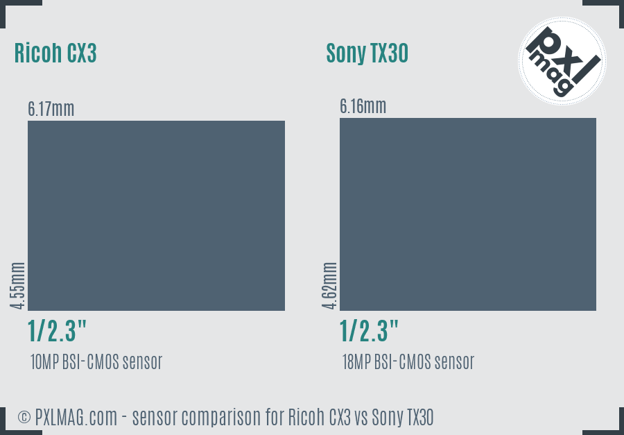 Ricoh CX3 vs Sony TX30 sensor size comparison