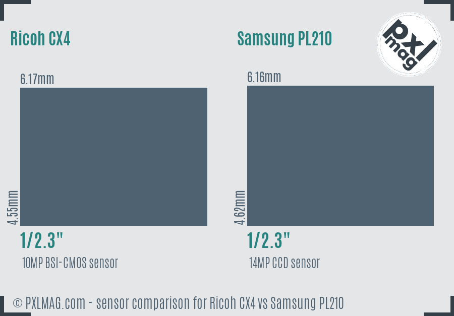 Ricoh CX4 vs Samsung PL210 sensor size comparison