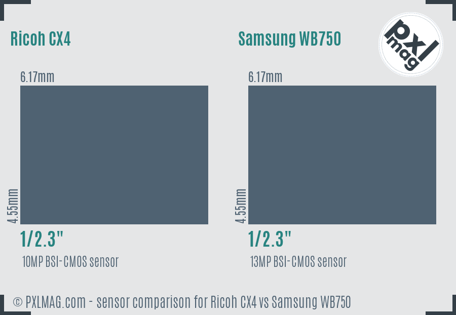 Ricoh CX4 vs Samsung WB750 sensor size comparison