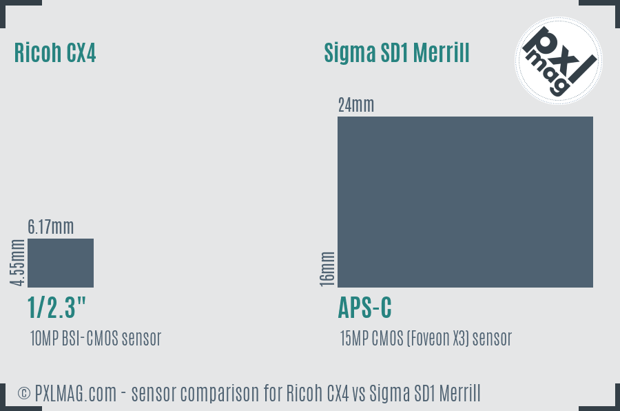 Ricoh CX4 vs Sigma SD1 Merrill sensor size comparison