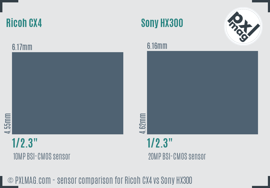 Ricoh CX4 vs Sony HX300 sensor size comparison