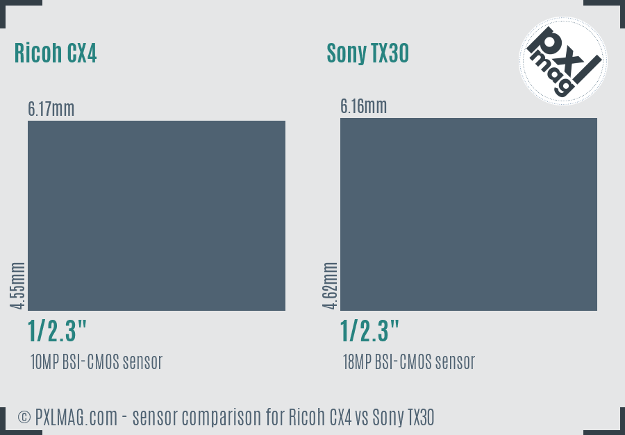 Ricoh CX4 vs Sony TX30 sensor size comparison
