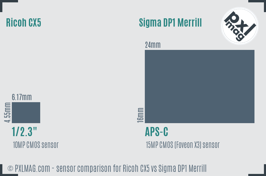 Ricoh CX5 vs Sigma DP1 Merrill sensor size comparison