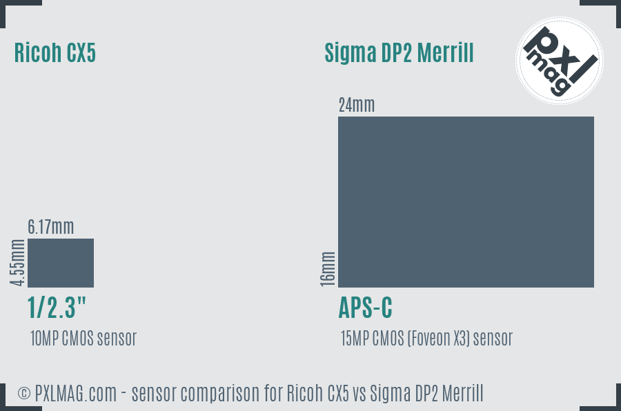 Ricoh CX5 vs Sigma DP2 Merrill sensor size comparison