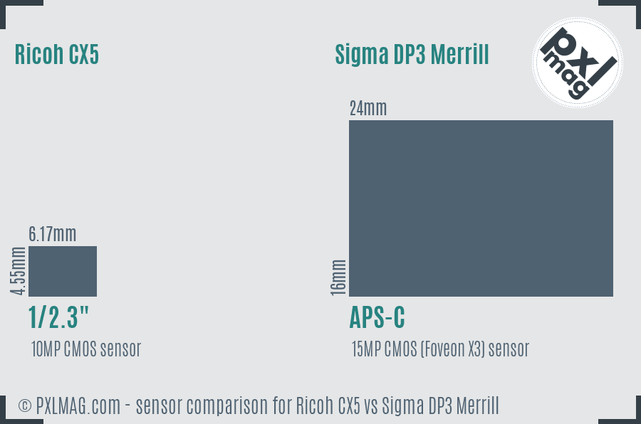 Ricoh CX5 vs Sigma DP3 Merrill sensor size comparison