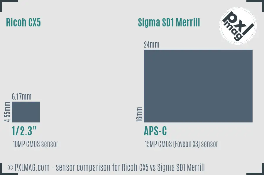 Ricoh CX5 vs Sigma SD1 Merrill sensor size comparison