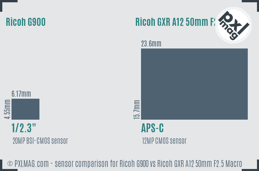 Ricoh G900 vs Ricoh GXR A12 50mm F2.5 Macro sensor size comparison