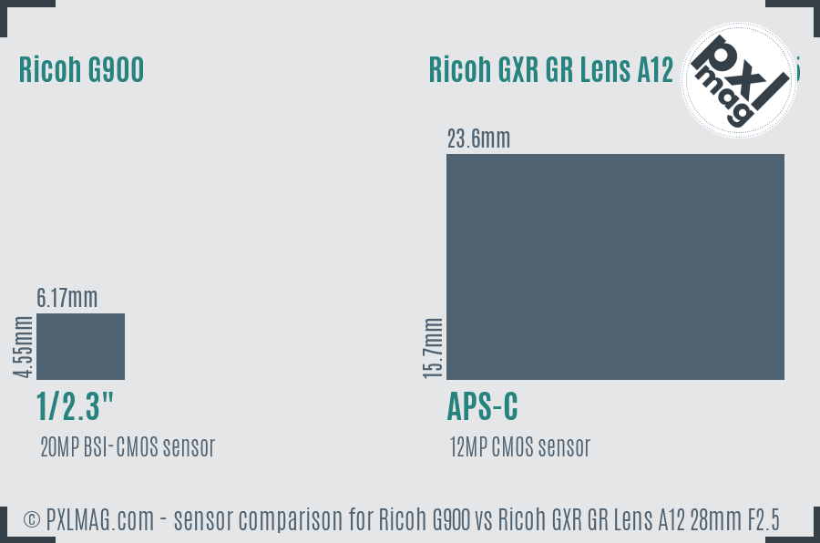 Ricoh G900 vs Ricoh GXR GR Lens A12 28mm F2.5 sensor size comparison