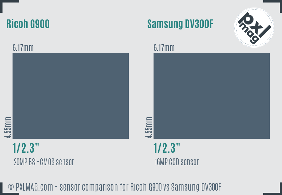 Ricoh G900 vs Samsung DV300F sensor size comparison
