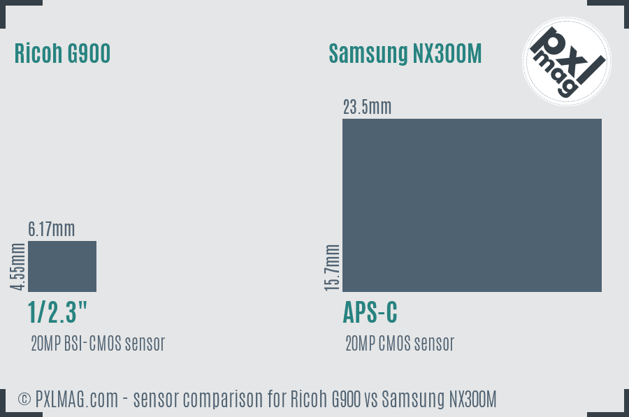 Ricoh G900 vs Samsung NX300M sensor size comparison