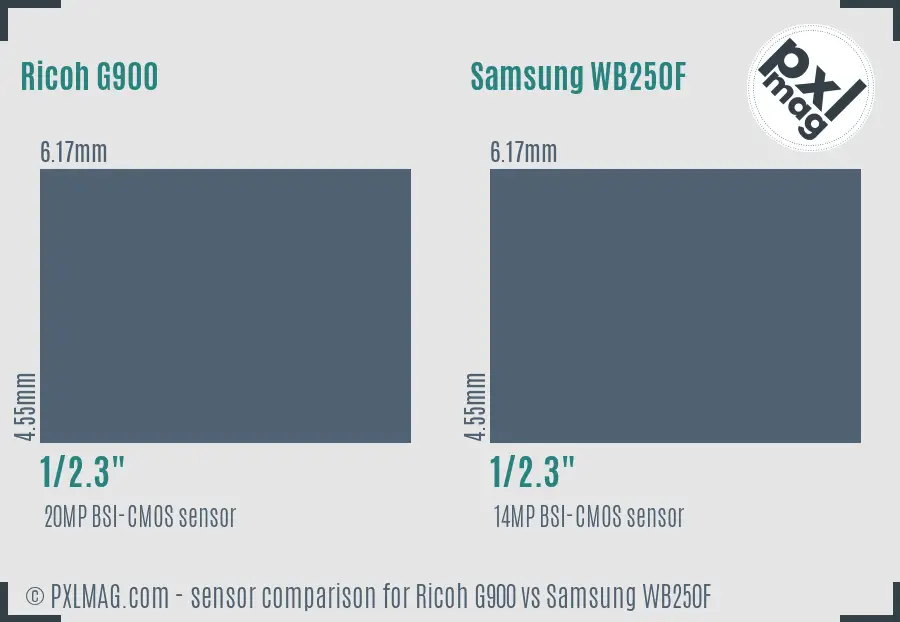 Ricoh G900 vs Samsung WB250F sensor size comparison