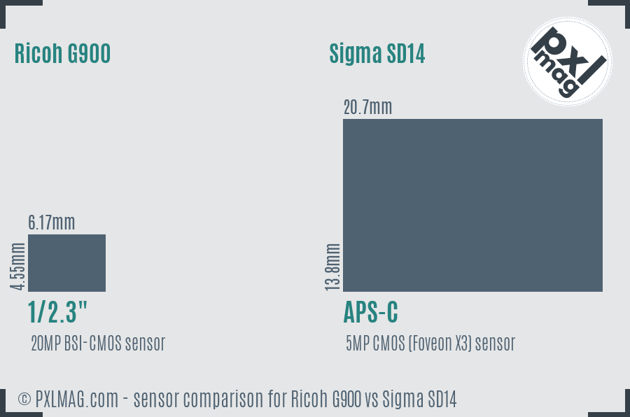 Ricoh G900 vs Sigma SD14 sensor size comparison