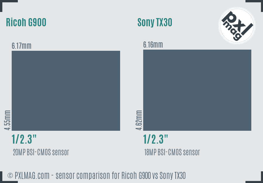 Ricoh G900 vs Sony TX30 sensor size comparison