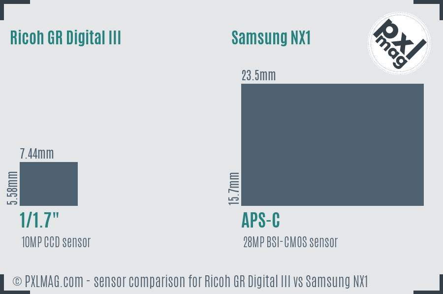 Ricoh GR Digital III vs Samsung NX1 sensor size comparison