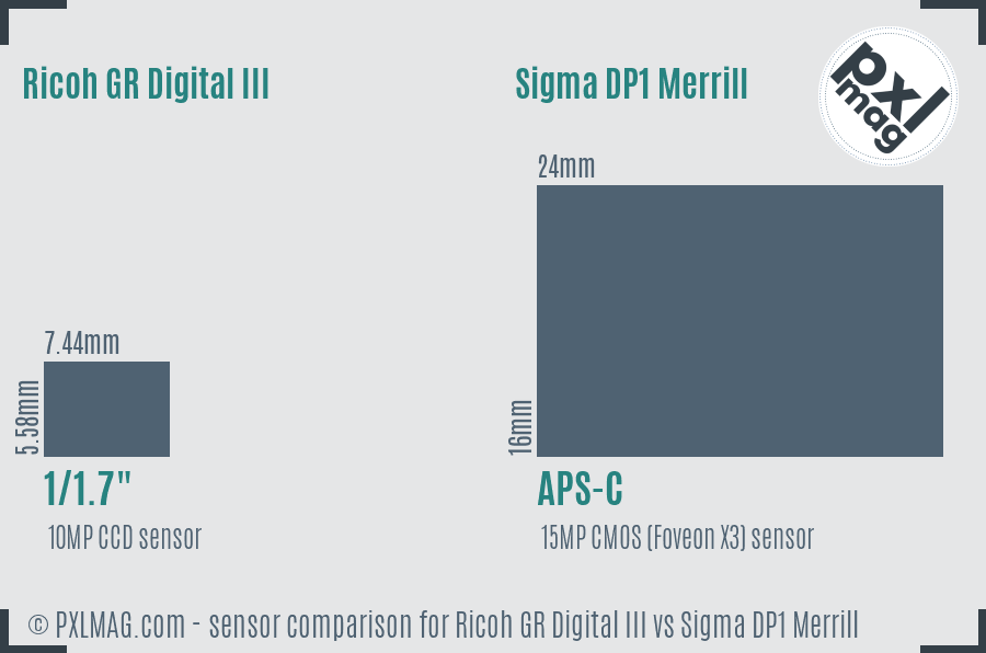 Ricoh GR Digital III vs Sigma DP1 Merrill sensor size comparison