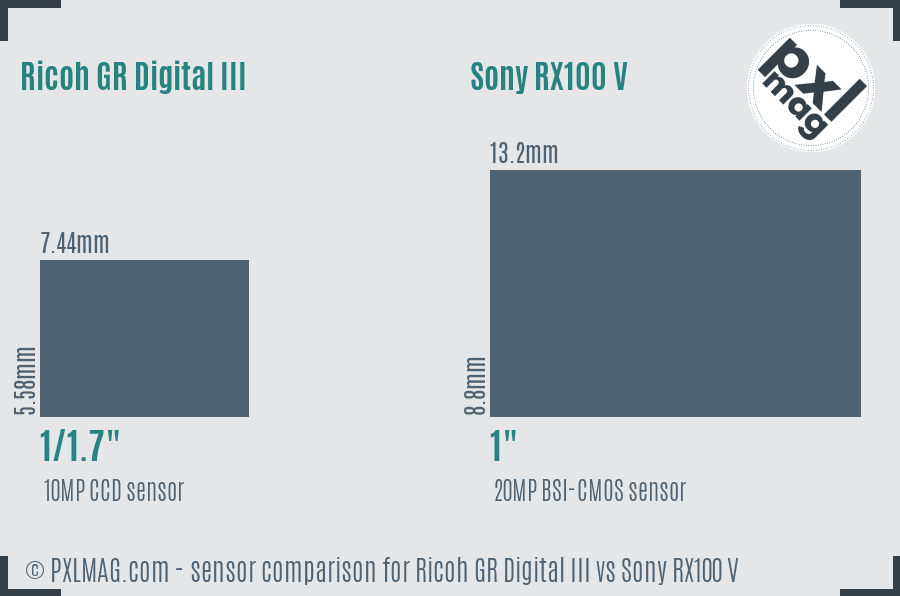 Ricoh GR Digital III vs Sony RX100 V sensor size comparison Ricoh GR Digital III vs Sony RX100 V sensor size comparison