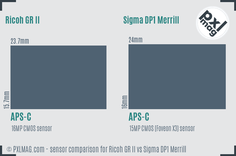 Ricoh GR II vs Sigma DP1 Merrill sensor size comparison