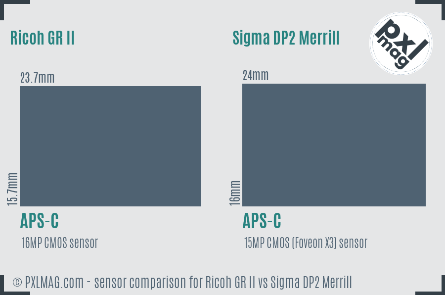 Ricoh GR II vs Sigma DP2 Merrill sensor size comparison